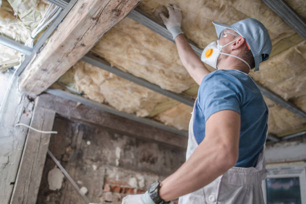Best Insulation Installation Services in Herculaneum, MO