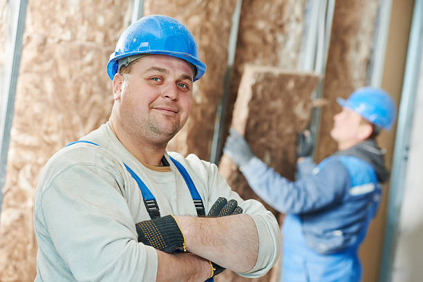 Best Specialty Insulation in Herculaneum, MO