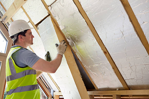 Best Insulation Maintenance and Repair in Herculaneum, MO